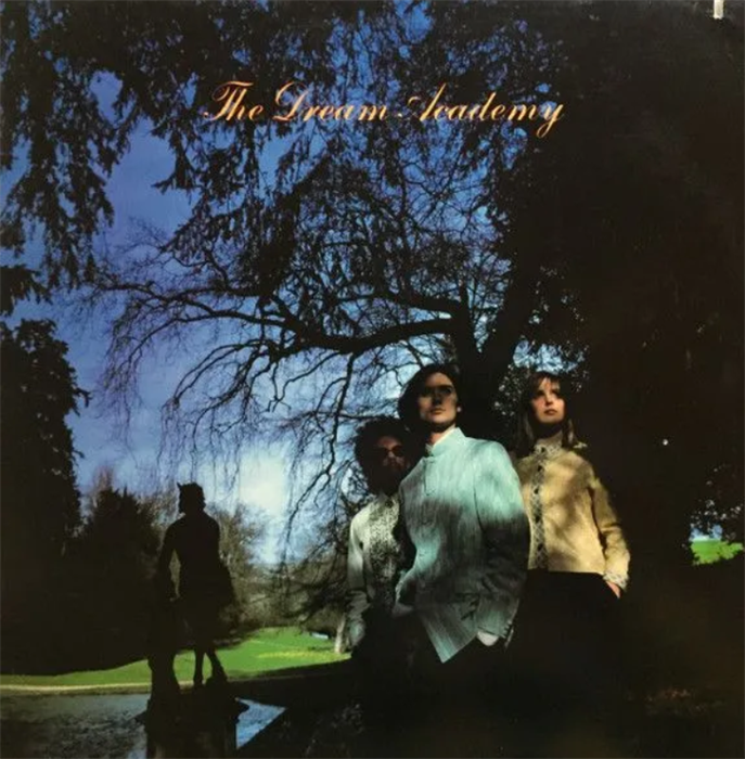 Грампластинка The Dream Academy бывшая в употреблении 1659